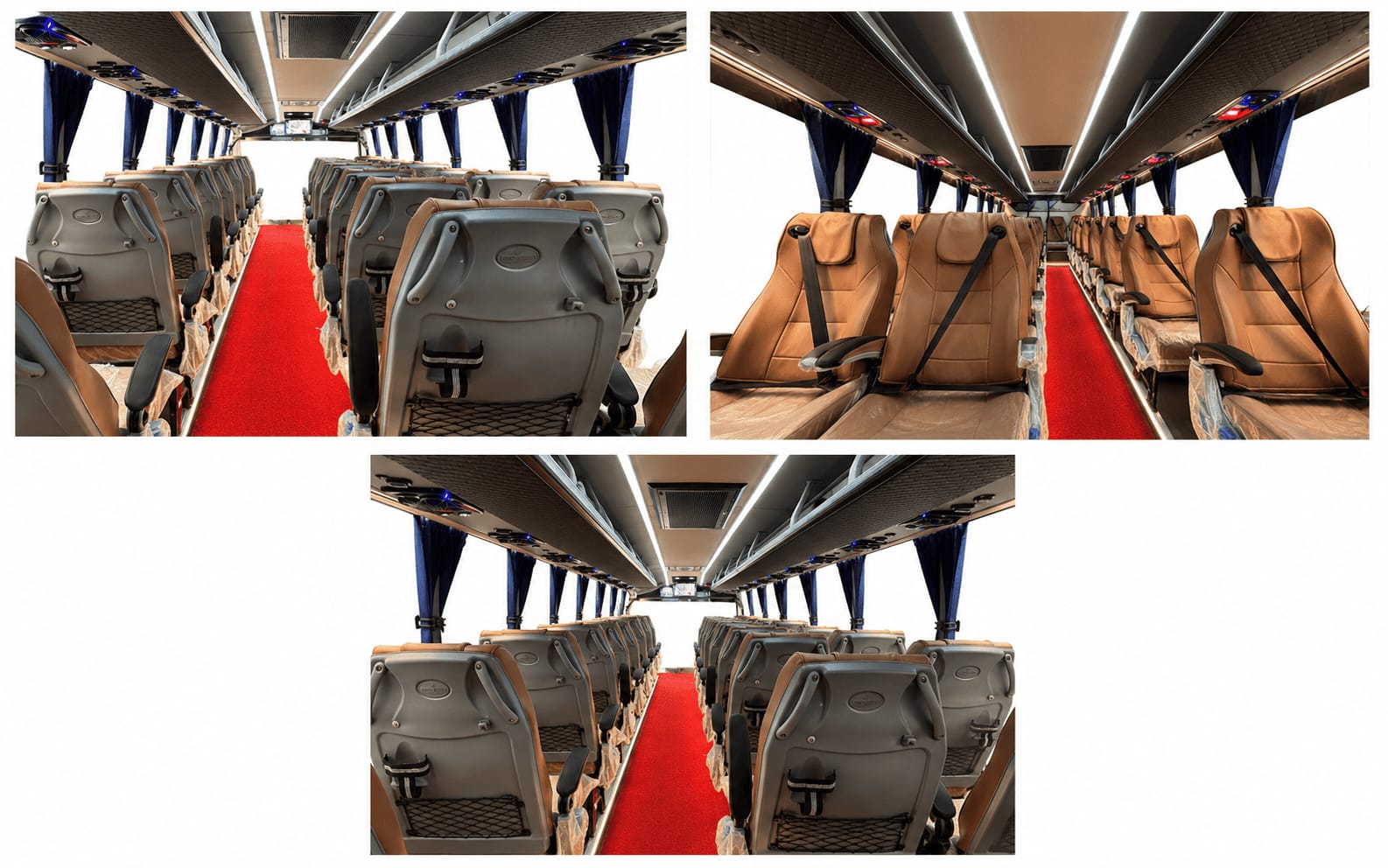 31 Seater Luxury 2x1 AC Coach — image 5
